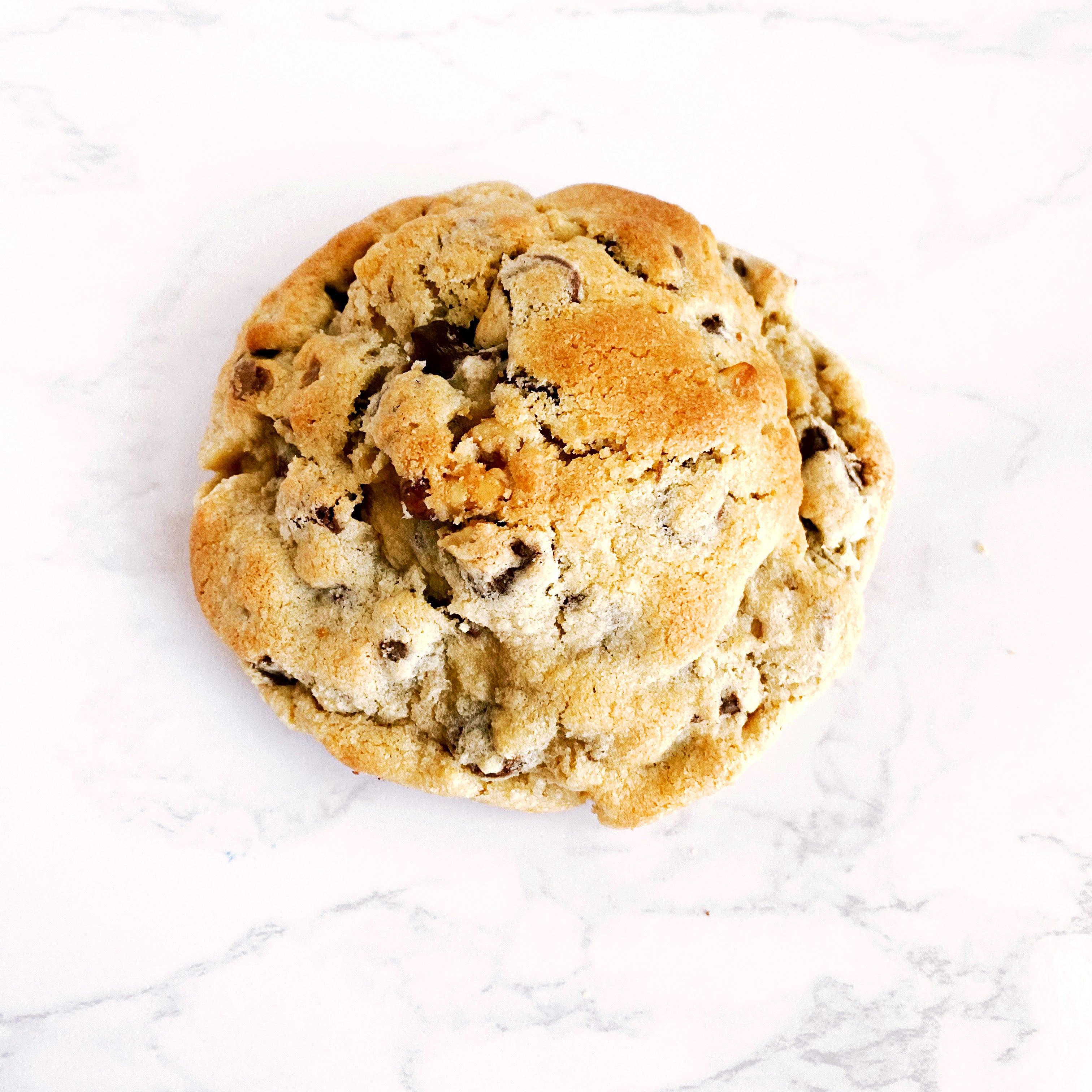 Chocolate Chip Walnut